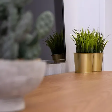 Alma Canteras Apartmán *